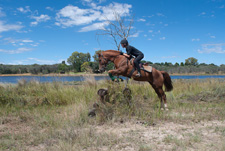 South Africa-Waterberg-Triple B Ranch